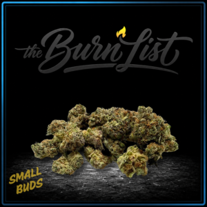BURNLIST FLOWER SMALL BUDS - Pineapple Pussy - 28G