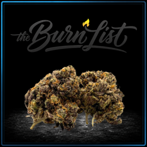 BURNLIST FLOWER - Ghost Train Haze - 28G