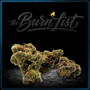 BURNLIST FLOWER - Grape Crush - 28G