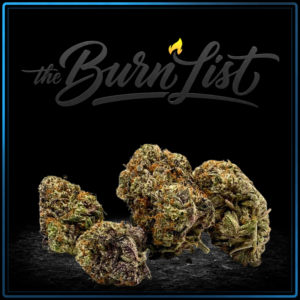 BURNLIST FLOWER - Jet Fuel - 28G