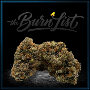 BURNLIST FLOWER - Death Bubba - 28G