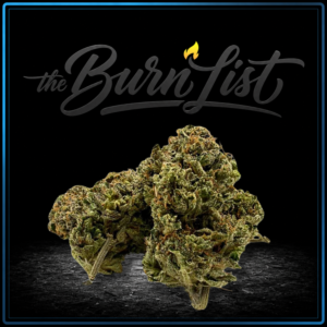 BURNLIST FLOWER - Godfather OG - 28G