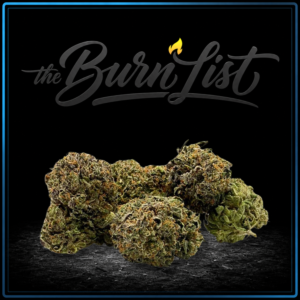 BURNLIST FLOWER - Tahoe OG - 28G
