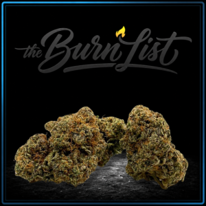BURNLIST FLOWER - White Truffle - 28G