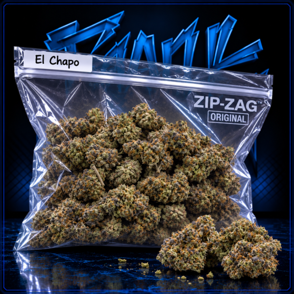 TBL-FF-BF-ELCHAPO